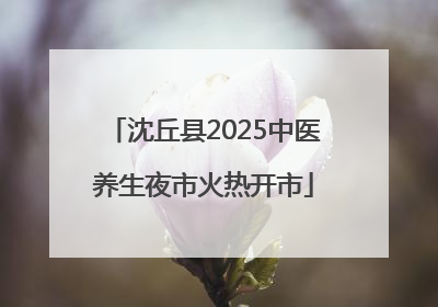 沈丘县2025中医养生夜市火热开市